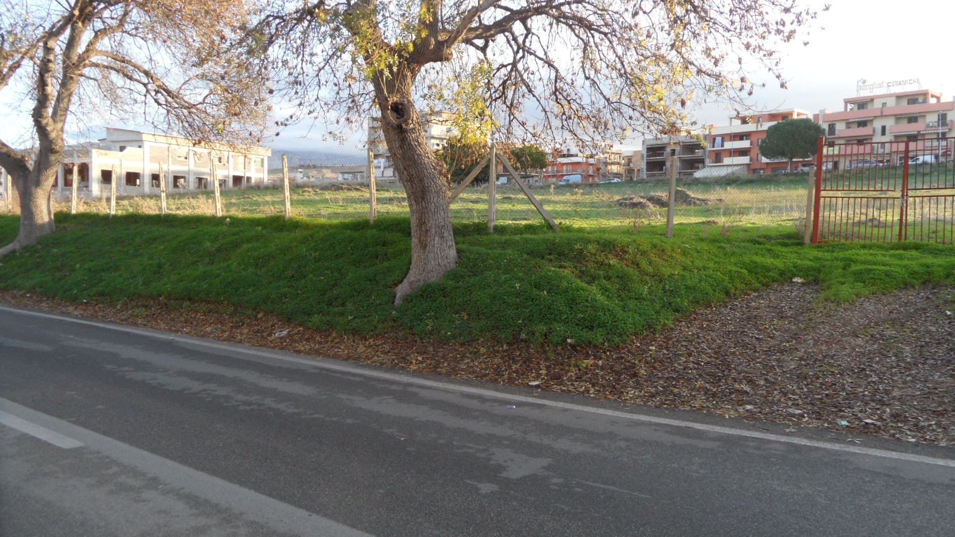 Clicca per ingrandire la foto