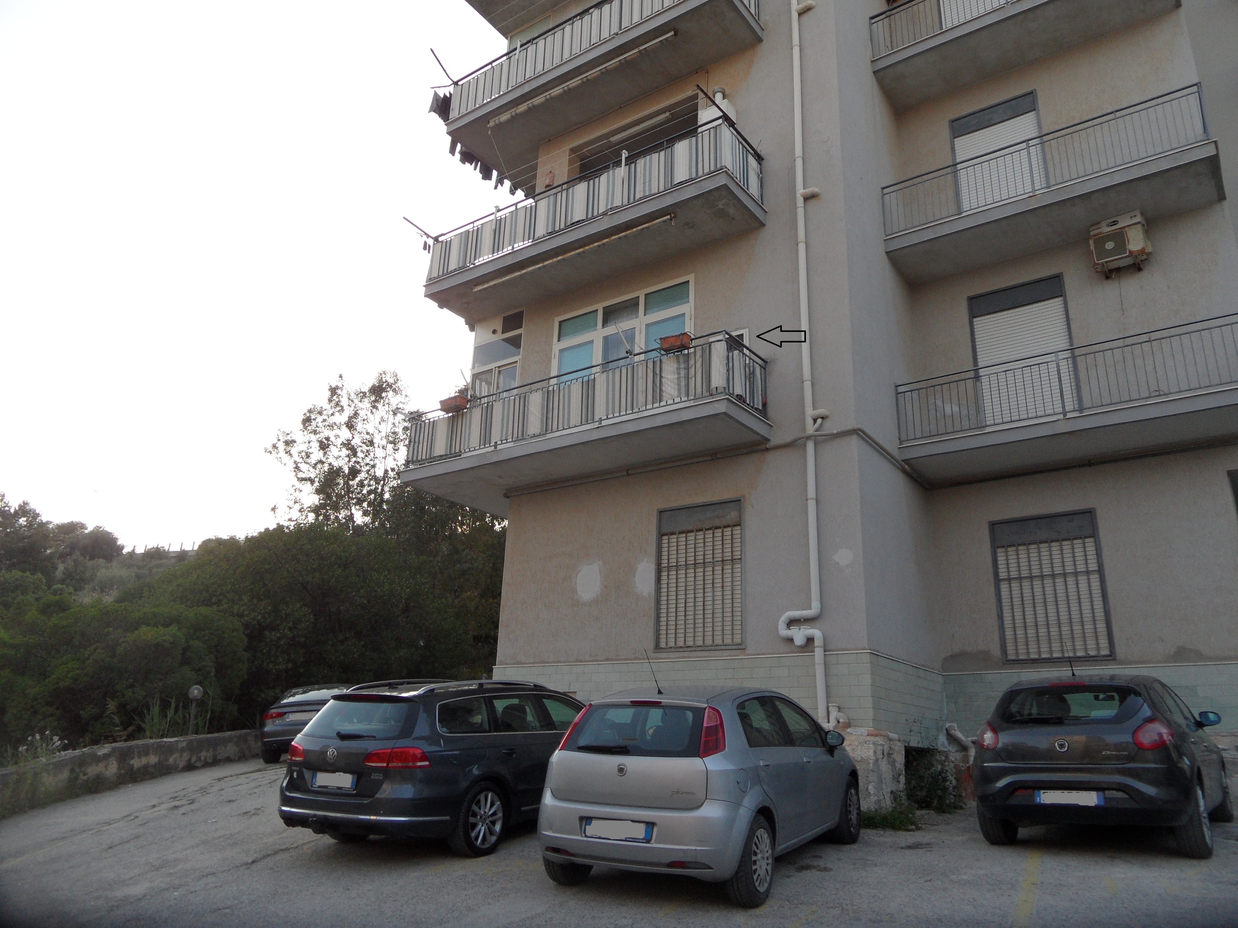 Clicca per ingrandire la foto